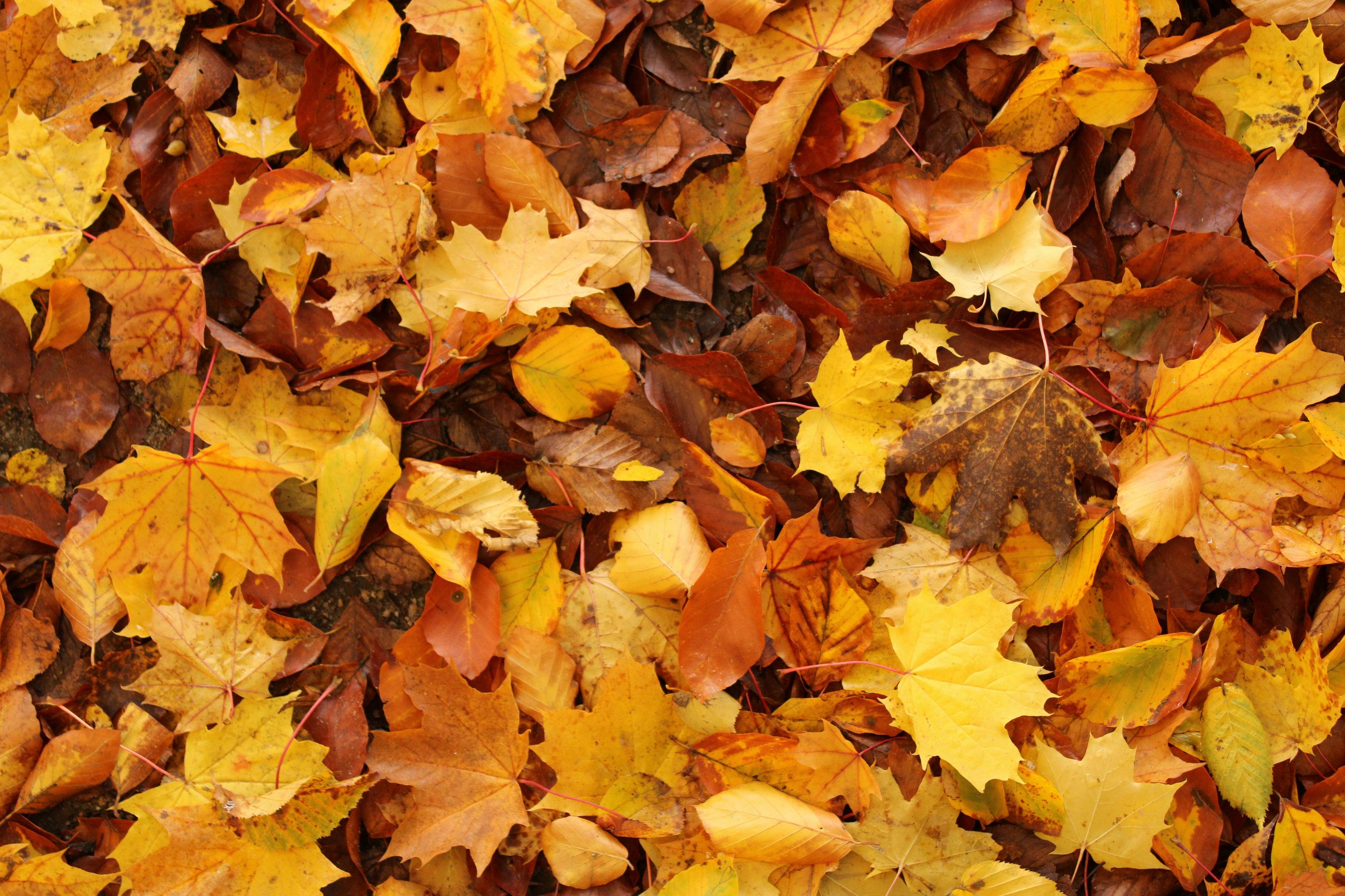 Bien choisir sa housse de couette selon les saisons.